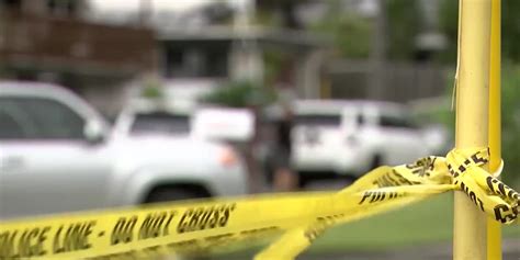 Chiropractor who fatally stabbed his wife and children had no .